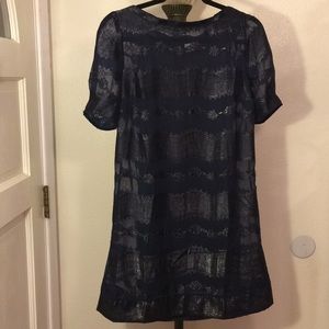 Stunning Navy Blue Sheer Dress w/ Slip